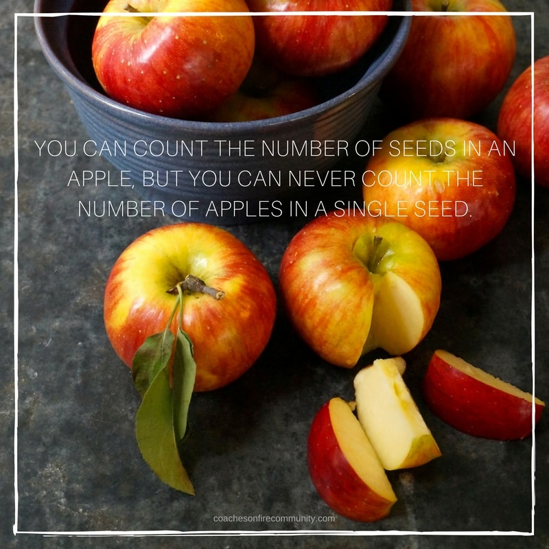 You Can Count The Number Of Seeds In An Apple But You Can Never Count The Number Of Apples In A Single Seed. Min